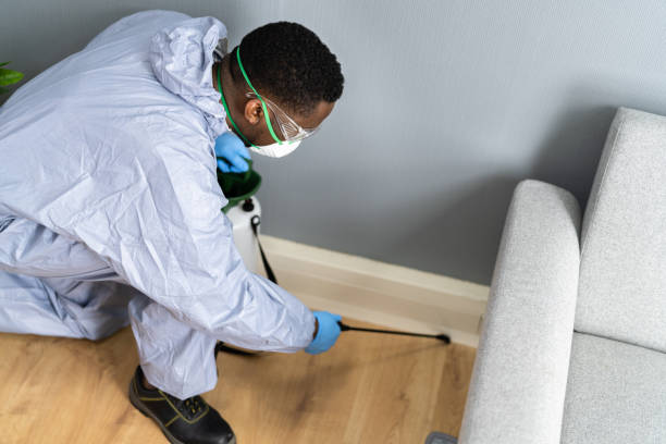 Emergency Pest Control Services in Crestline, CA